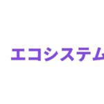 MATICホルダー必見!Polygonのプロジェクト動向【2021年6月版】