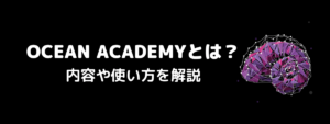 OCEAN ACADEMY(オーシャンアカデミー)とは？内容や使い方を解説
