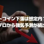 ビットコイン(BTC)下落は想定内?業界のプロから強気予測が続出!