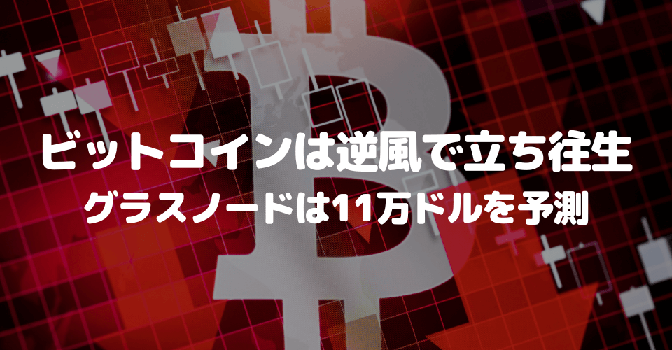 ビットコインは逆風で立ち往生、グラスノードは11万ドルを予測