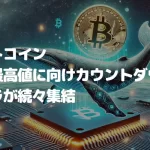 ビットコイン過去最高値更新に向けたカウントダウンか?クジラが続々集結