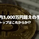 ビットコイン年内には3,000万円超えの予測も！サイクルトップはこれから