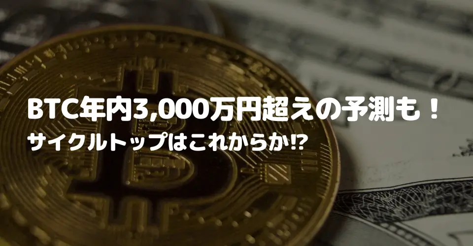 ビットコイン年内には3,000万円超えの予測も！サイクルトップはこれから