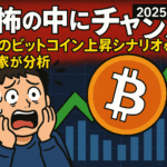 「恐怖の中にチャンス」11月のビットコイン上昇シナリオを専門家が分析【2025年最新・11/10更新】