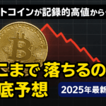 【2025年最新分析】ビットコインが記録的高値から一転、どこまで落ちるのか徹底予想