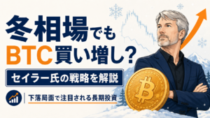 仮想通貨の冬でも買い増し？マイケル・セイラー氏のBTC戦略を解説